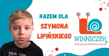 Main photo uploaded by the user