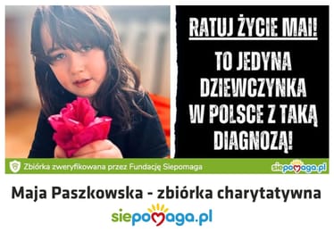 Zdjęcie główne wgrane przez użytkownika