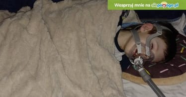 Zdjęcie główne wgrane przez użytkownika