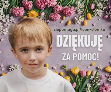 Zdjęcie główne wgrane przez użytkownika