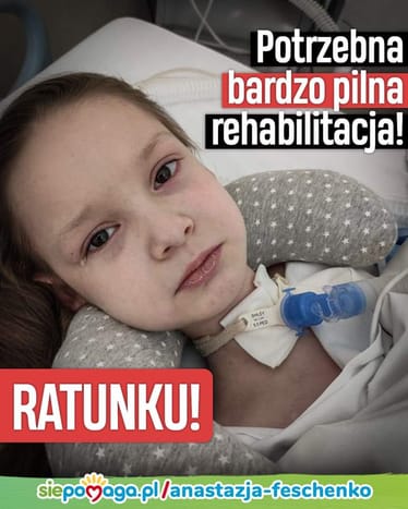 Zdjęcie główne wgrane przez użytkownika