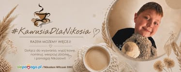Zdjęcie główne wgrane przez użytkownika