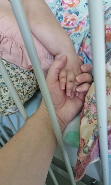 Zdjęcie główne wgrane przez użytkownika
