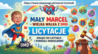 Zdjęcie główne wgrane przez użytkownika