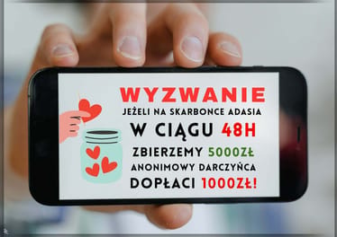 Main photo uploaded by the user