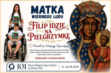 Zdjęcie główne wgrane przez użytkownika