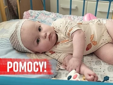 Iga Treller - main photo