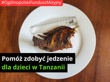 🐟 STAW, KTÓRY NAKARMI DZIECI 🐟 - zdjęcie główne