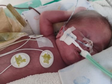 Maksiu Wągrodzki - zdjęcie główne