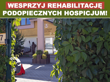 Podarujmy dzieciom miejsce pełne ukojenia i&nbsp;nadziei! Wspólnie dla&nbsp;podopiecznych „Bursztynowej Przystani” - zdjęcie główne