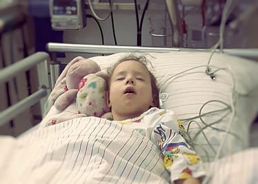 Maja Niedźwiecka - zdjęcie główne