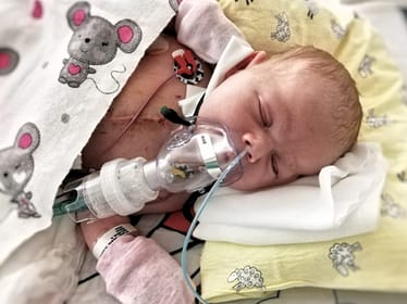 Julia Drżał - zdjęcie główne