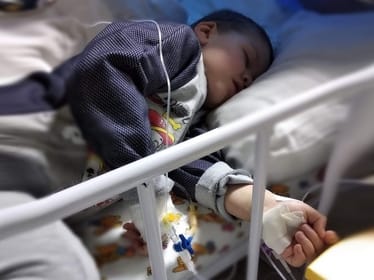 Makar Wowk - zdjęcie główne