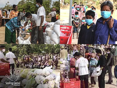 Smiling Gecko Cambodia - main photo