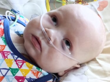 Natan Wiśniewski - zdjęcie główne