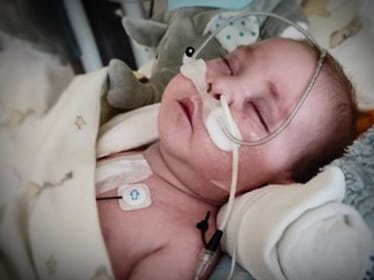 Marcel Kapela - zdjęcie główne