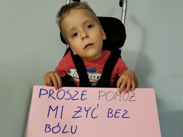 Stefan i&nbsp;Ignacy Gut - zdjęcie główne