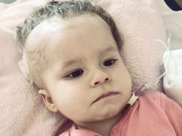 Jagódka Jaskólska - zdjęcie główne