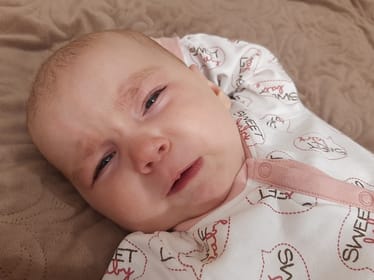 Dana Pradunets - zdjęcie główne