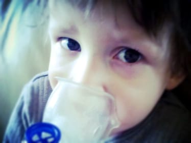 Julia Borek - zdjęcie główne