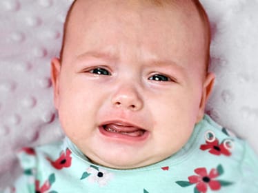 Maja Skrzyniecka - zdjęcie główne