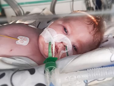 Lilianka Drobny - zdjęcie główne