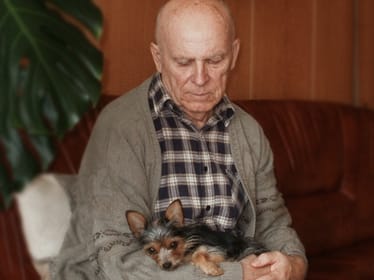 Aleksander Skok - main photo