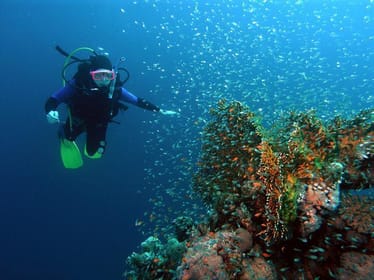 "Pod wodą panuje równość"! - zdjęcie główne