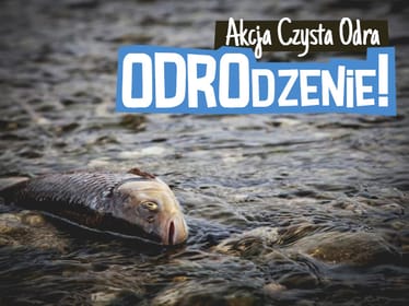 Czas na ODROdzenie. Przywróćmy życie naszej rzece! - zdjęcie główne