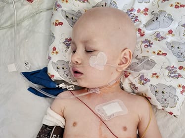 Blanka Przybył - zdjęcie główne