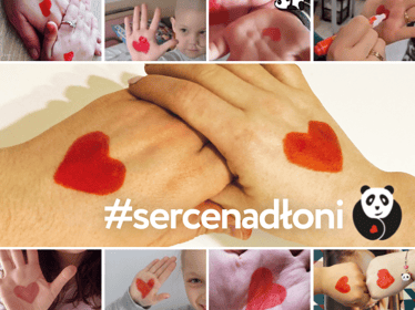 Dołącz do akcji „Pokaż #sercenadłoni” i wesprzyj osieroconych rodziców! - main photo