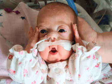 Wiktoria Sodkiewicz - zdjęcie główne