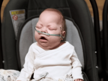 Wiktoria Nawrot - main photo