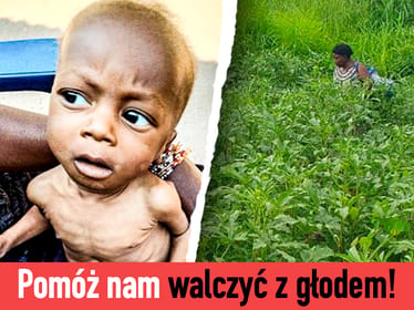 Pomóżmy zasiać soję w DR Kongo! - main photo