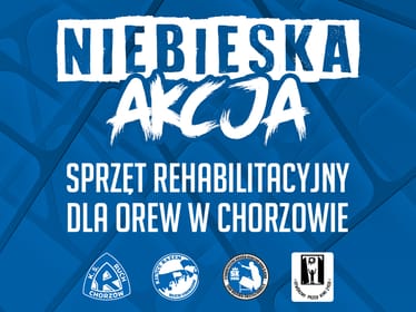 Dzieci z OREW w Chorzowie czekają na Twoją pomoc! - zdjęcie główne