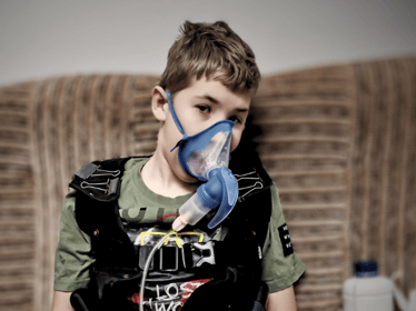 Alan Piepiórka - main photo