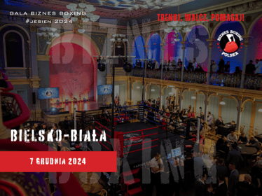 Gala Biznes Boxing Polska 07/12/24&nbsp;BIELSKO-BIAŁA - zdjęcie główne