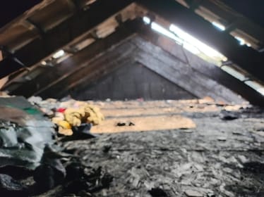 Natalia Skrobek - zdjęcie główne