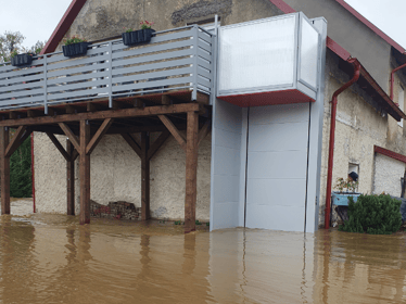 Rodzina Pfeifer - main photo