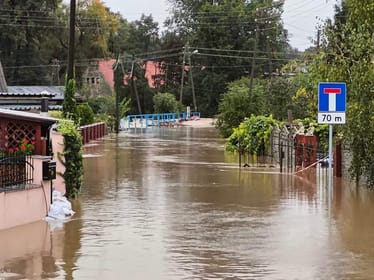 Wiktoria Tokarczyk - zdjęcie główne