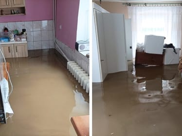 Helena Krymska - zdjęcie główne