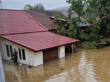 Beata Pocion - zdjęcie główne