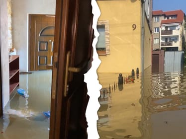 Agata Maj - zdjęcie główne