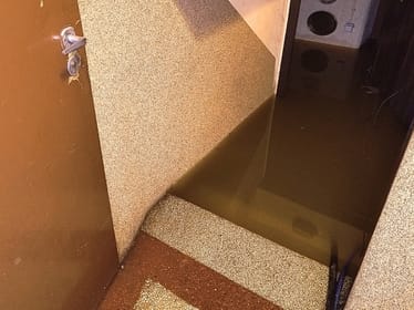 Małgorzata Maroń - zdjęcie główne