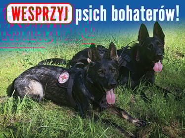Czworonożni ratownicy są zawsze gotowi do&nbsp;akcji. Odwdzięczmy się im! - zdjęcie główne