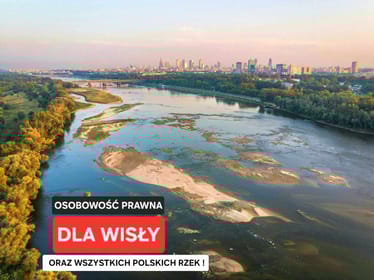 Polskie rzeki wysychają! Nadajmy rzekom ochronę prawną – OSOBA WISŁA i OSOBA RZEKA - main photo