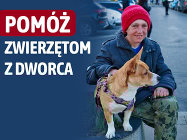 Dołącz do&nbsp;akcji ZWIERZĘTA Z&nbsp;DWORCA. Nie pozwól, by&nbsp;były głodne! - zdjęcie główne