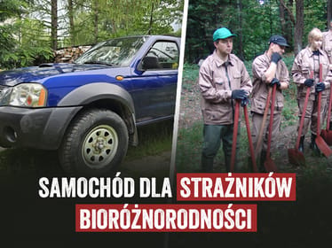 Pomóż nam walczyć o&nbsp;bioróżnorodność! - zdjęcie główne