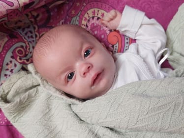 Teo Zep - main photo