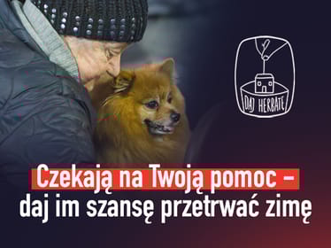 Nie pozwól, by były głodne! Dołącz do akcji ZWIERZĘTA Z DWORCA - main photo